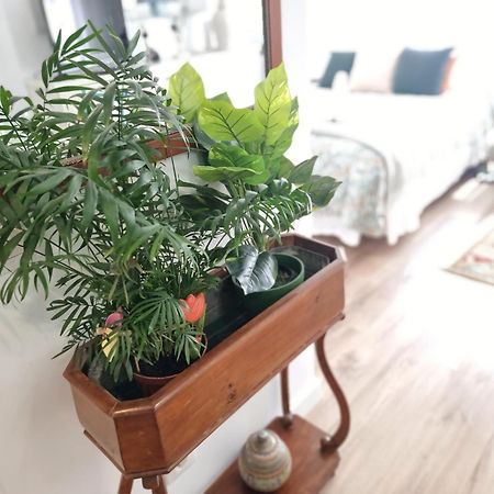 Kyra House Centro Vigo Διαμέρισμα Εξωτερικό φωτογραφία