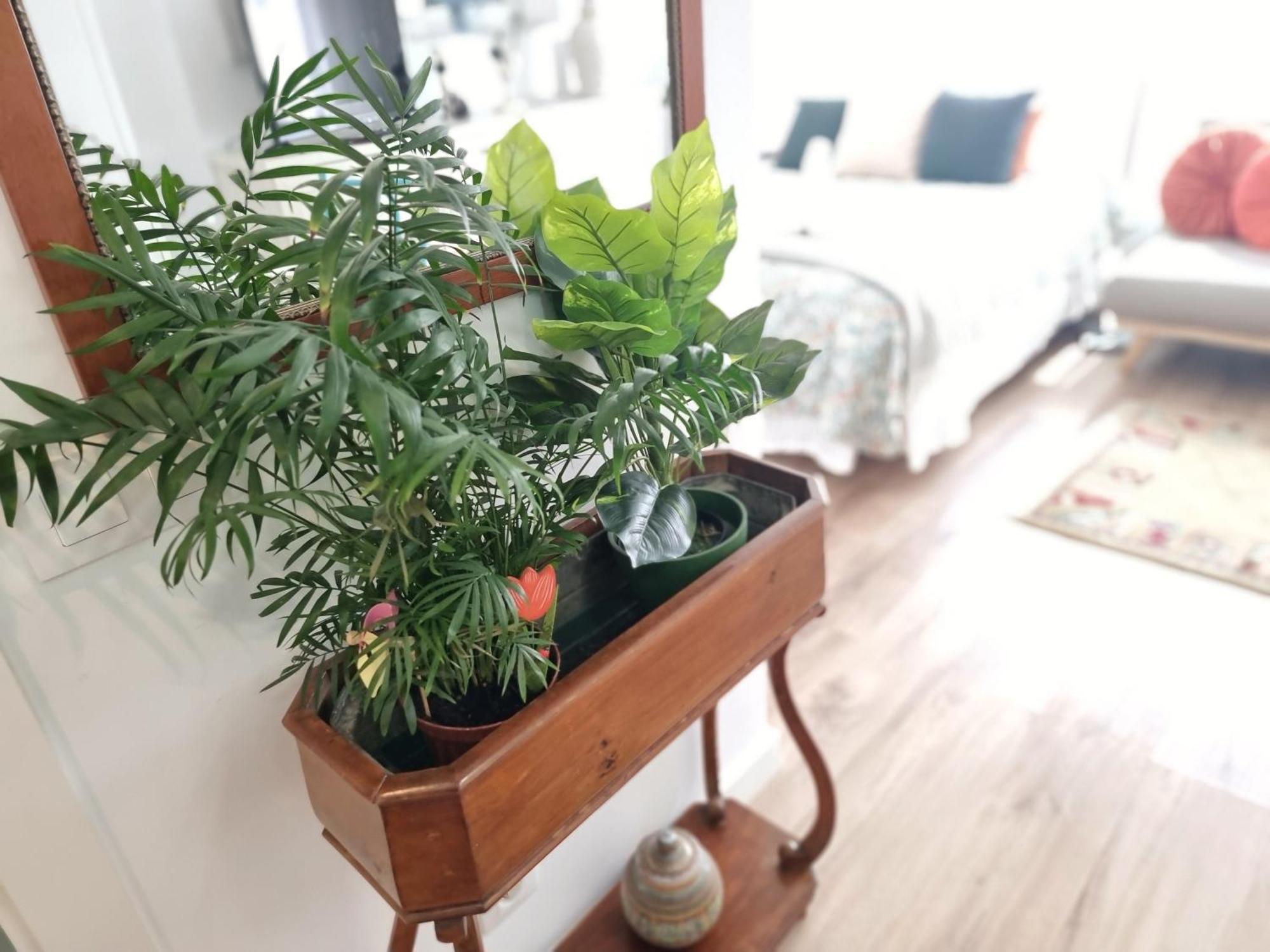 Kyra House Centro Vigo Διαμέρισμα Εξωτερικό φωτογραφία